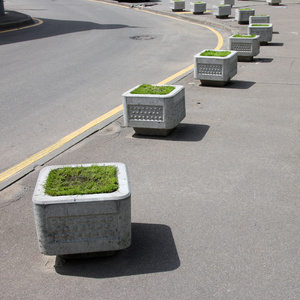 方形灰色混凝土花坛长满绿草在它的范围照片