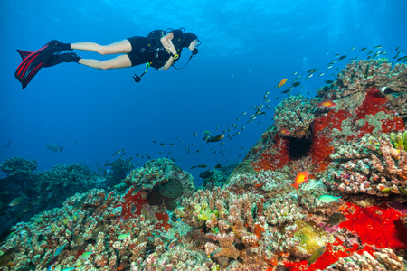 年轻女子潜水员探索海底图片