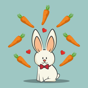 可爱的兔子和胡萝卜蔬菜照片