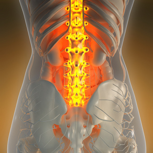 科学的人体辉光背骨的 x 线解剖在 x 射线与人体