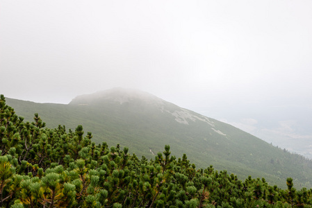 薄雾清晨山景图片