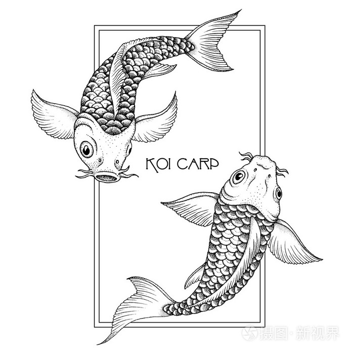 日本花式鲤鱼.手绘水墨矢量图