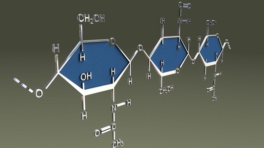 甲壳素分子的结构公式照片
