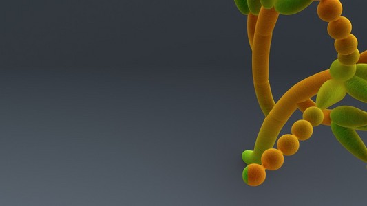 分生孢子, 厚垣孢子真菌照片