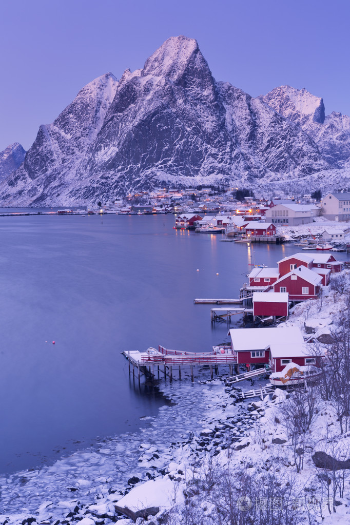 罗弗敦群岛挪威北部冬季的雷尼