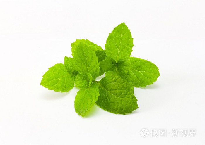 新鲜薄荷白隔离