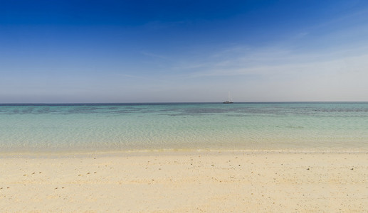 海滩和海景和海上船只图片