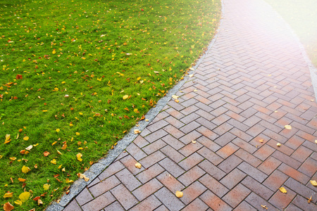秋季路径与落叶阳光热点图片