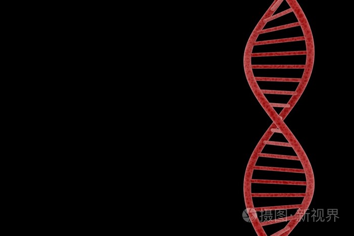红色的dna双螺旋结构上黑色的背景副本孤立空间三维图