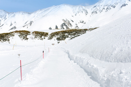 雪中的路径走向雪山滑雪运动员图片