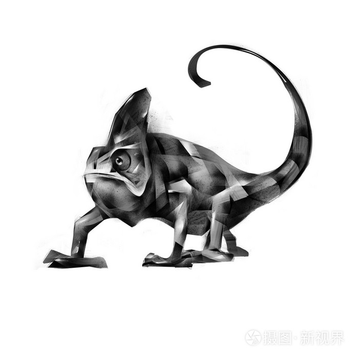 坐在白色背景上的素描变色龙