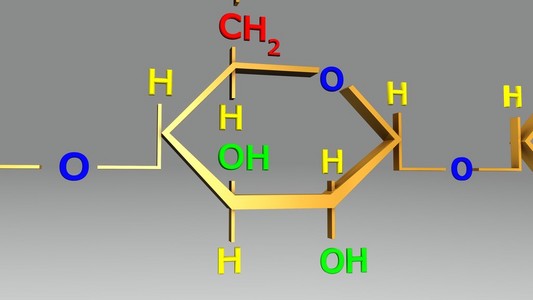 化药支链淀粉分子结构照片