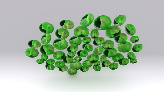小球藻单细胞绿藻图片