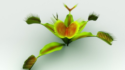 食虫植物图片 食虫植物素材 食虫植物插画 摄图新视界 食虫植物图片 食虫植物素材 食虫植物插画 摄图新视界