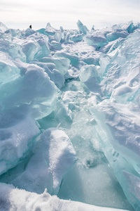 冰块的蓝色冰覆盖着雪图片