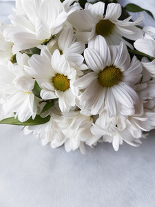 白菊花束素材图片 白菊花束图片素材下载 摄图新视界