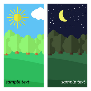 白天和黑夜的森林照片