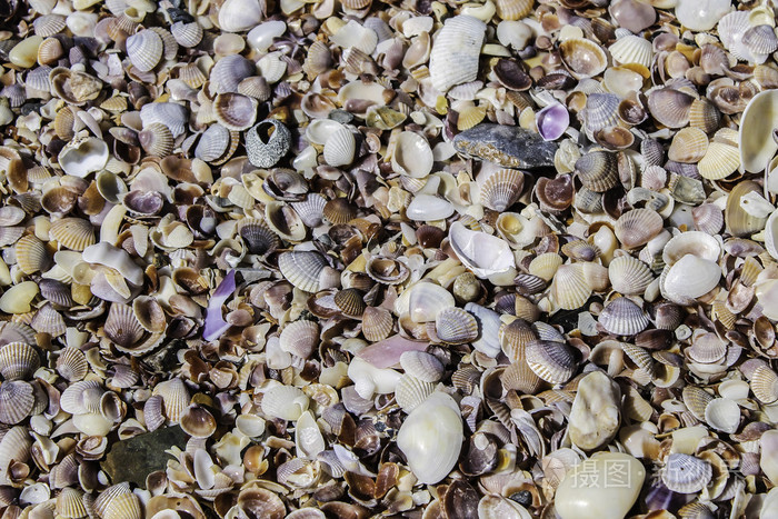 五颜六色的地毯在 Ao Nang，泰国海滩的贝壳