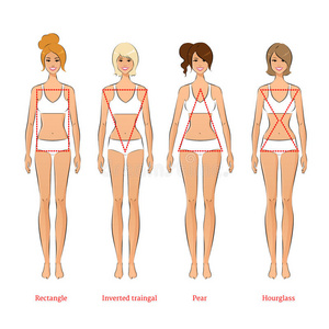 女性体型图片 女性体型素材 女性体型插画 摄图新视界