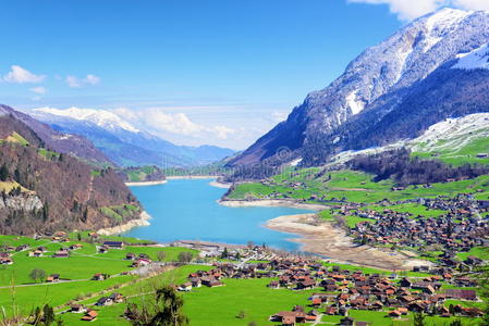 阿尔卑斯山 草地 领域 旅行 欧洲 全景图 公园 奥伯兰