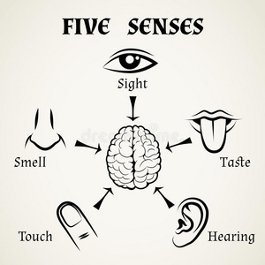 五官五官图标照片