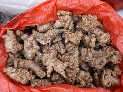 三七女生节图片