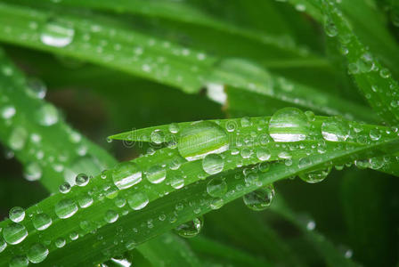 雨滴宏观