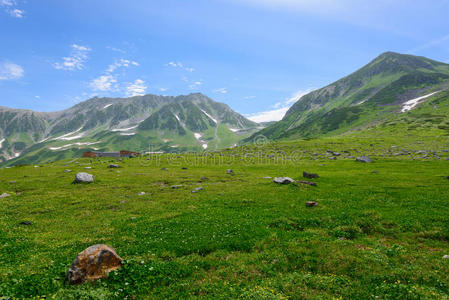 美丽的 植物 日本人 攀登 公园 公司 散乐 阿尔卑斯山