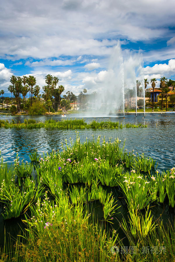 回声公园湖里的草和喷泉