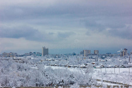 保加利亚 公园 森林 城市景观 美丽的 寒冷的 暴风雪 房子