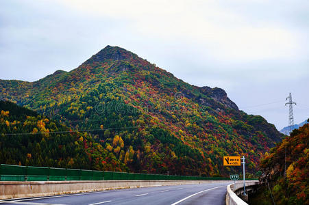 秋林山