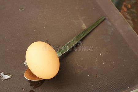 有薄荷叶的勺子上的鸡蛋。