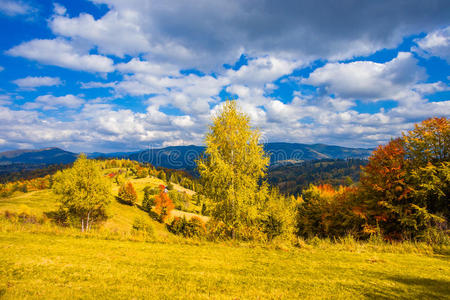 旅游业 喀尔巴阡山 美好的 太阳 自然 季节 全景图 天空