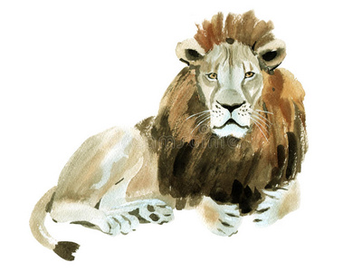 非洲 狮子 美女 绘画 插图 形象 印象派 美丽的 艺术