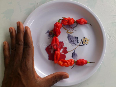 计算器 法罗群岛 食欲 胡萝卜 家庭 公司 带来 环境 艺术