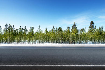 冬季森林道路