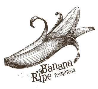 香蕉矢量标志设计模板。 水果或食物