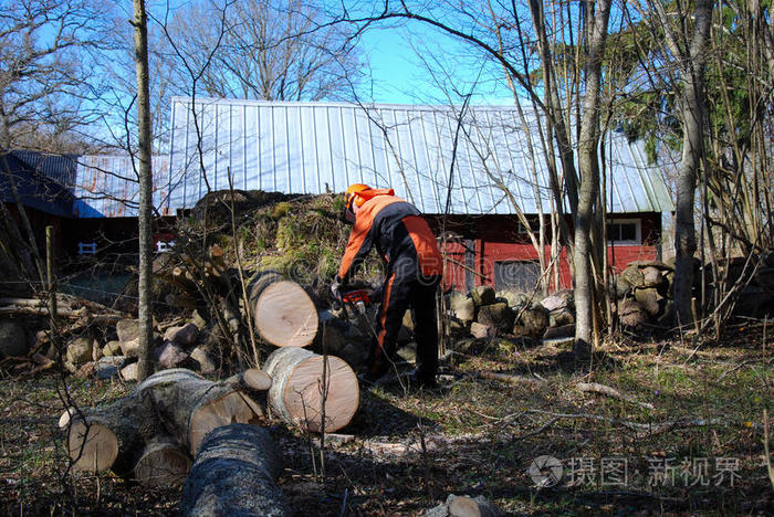 日志 权力 电锯 男人 记录器 伐木工人 自然 森林 林业