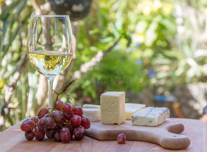 不同类型的奶酪与葡萄酒和葡萄