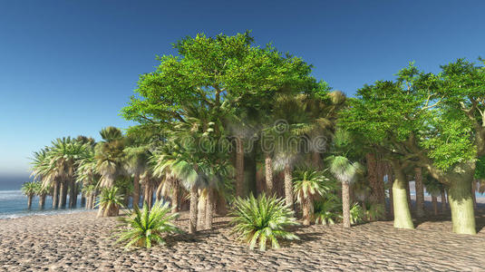 利比亚人 摩洛哥人 树林 栽培 植物 沙漠 棕榈 极端 非洲