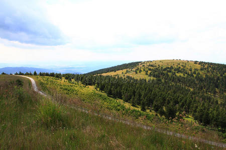 公园 山谷 徒步旅行 全景图 小山 旅游业 欧洲 森林 乡村