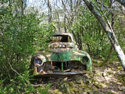 森林I中的废弃汽车