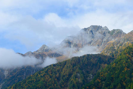 秋天 阿尔卑斯山 公园 日本 树叶 日本人 风景 范围 和田
