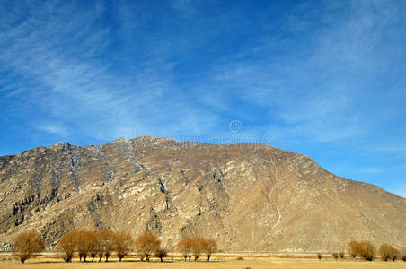 瓷器 领域 目的地 亚洲 纯洁 自然 朝圣者 遥远的 风景