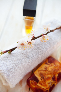 芳香疗法 肥皂 植物 和谐 香料 肉桂色 活力 健康 生活