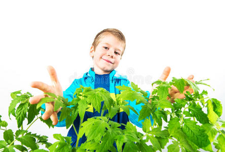 帽子 保护 生活 环境 花园 帮助 男孩 农民 小孩 家庭