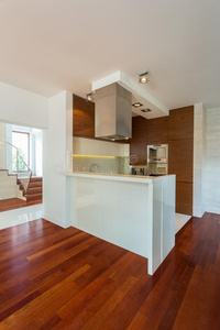 大厅 小规模 烹饪 独家 新的 活的 住宅 简单的 柜台
