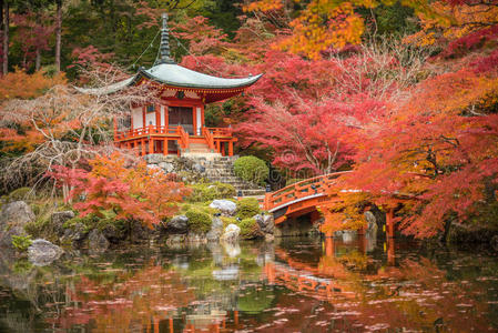 日本京都，摩米季，枫树中的大寺