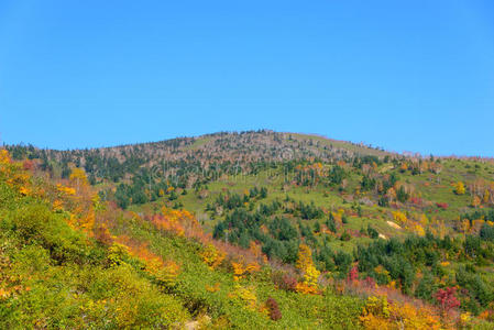 秋叶八门台山