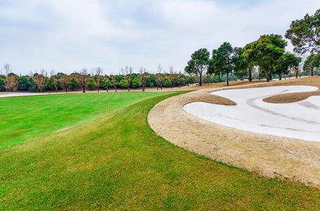 高尔夫球草坪图片